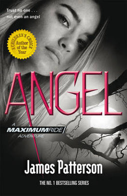 Maximum Ride 07: Angel (Teen Edition) - James Patterson