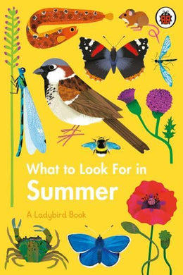 Ladybird Book: What to look for in Summe - Ladybird