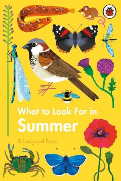 Ladybird Book: What to look for in Summe - Ladybird