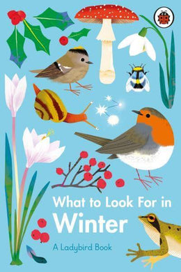 Ladybird Book: What to look for in Winte - Ladybird