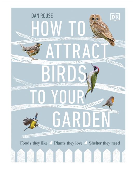 How to Attract Birds to Your Garden - DK