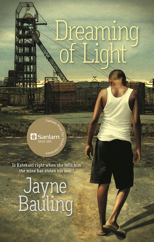Dreaming Of Light - Jayne Bauling