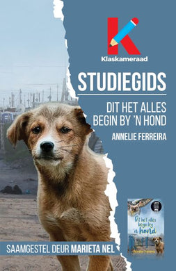 Studiegids: Dit Het Alles Begin By 'n Ho - Annelie Ferreira