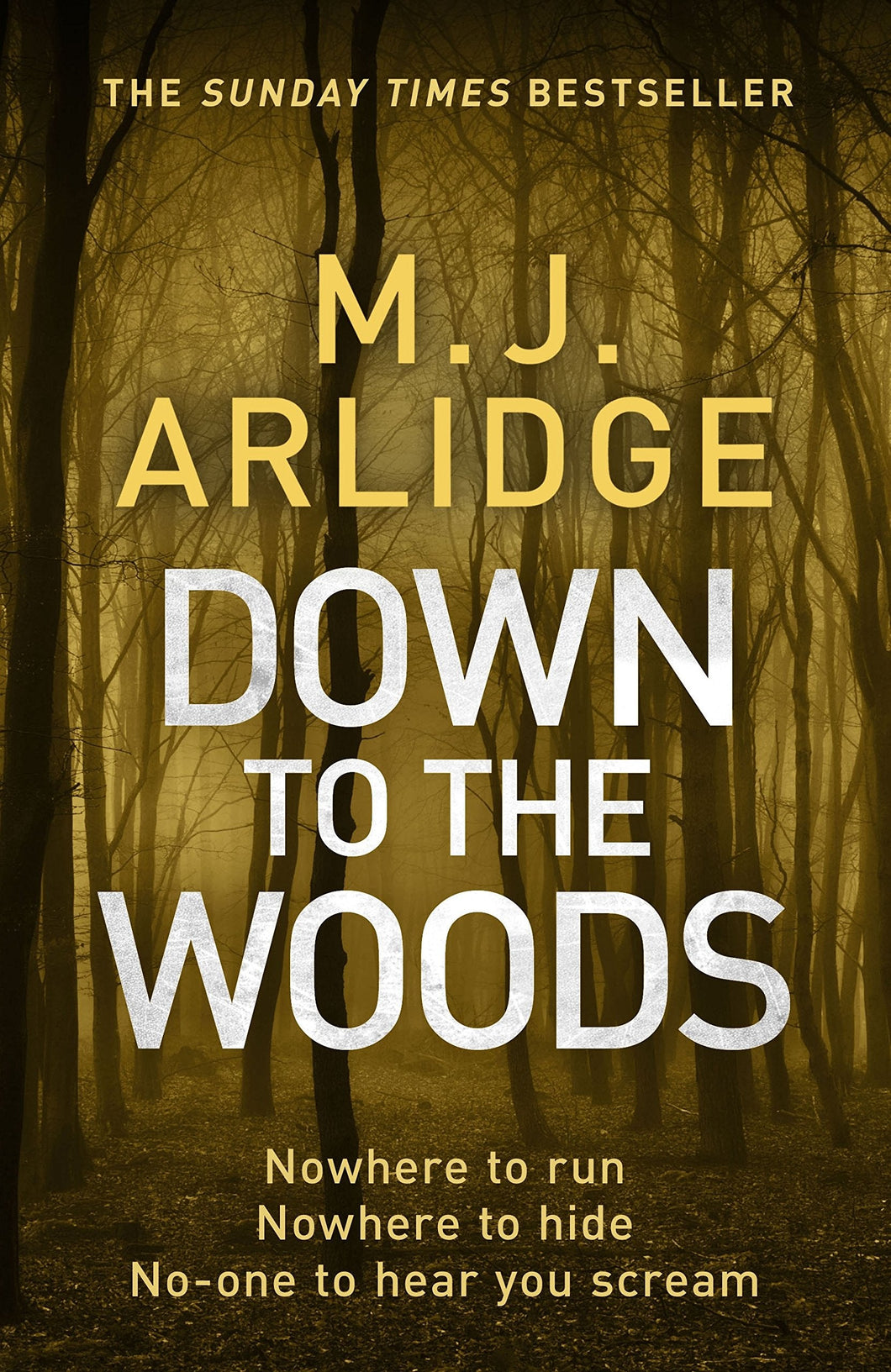 DI Helen Grace 08: Down to the Woods - MJ Arlidge