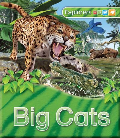 Explorers: Big cats - Kingfisher