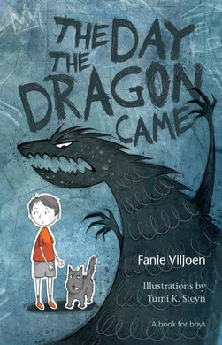 Day the dragon came - book for boys - Fanie Viljoen