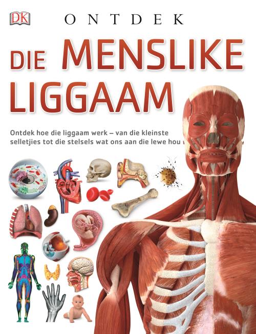 Ontdekreeks: Die Menslike liggaam - DK
