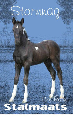 Stalmaats 15: Stormnag - Lize Roux