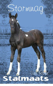 Stalmaats 15: Stormnag - Lize Roux