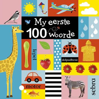 My Eerste 100 woorde - LAPA Uitgewers