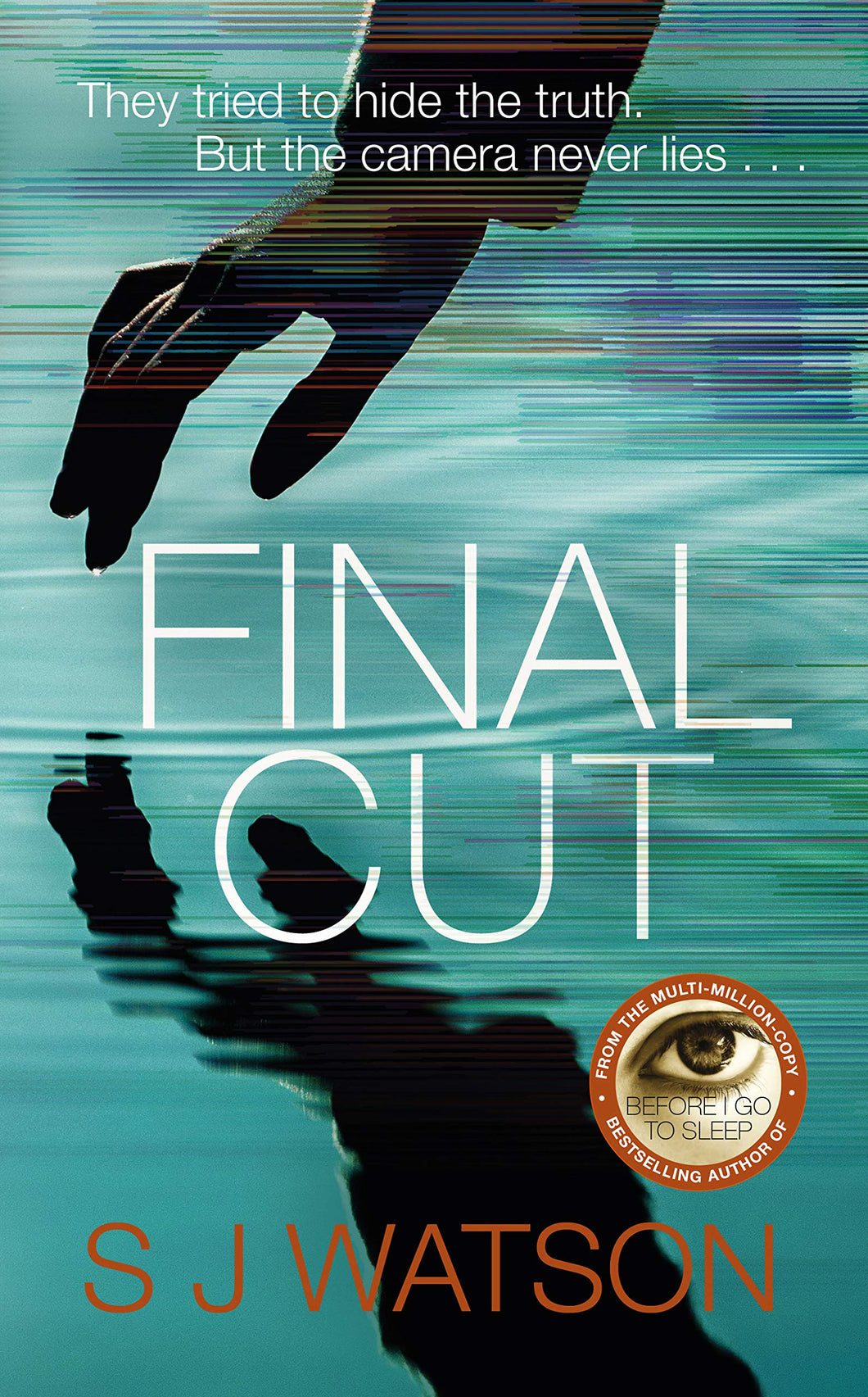 Final Cut - S J Watson