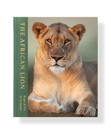 African Lion, The