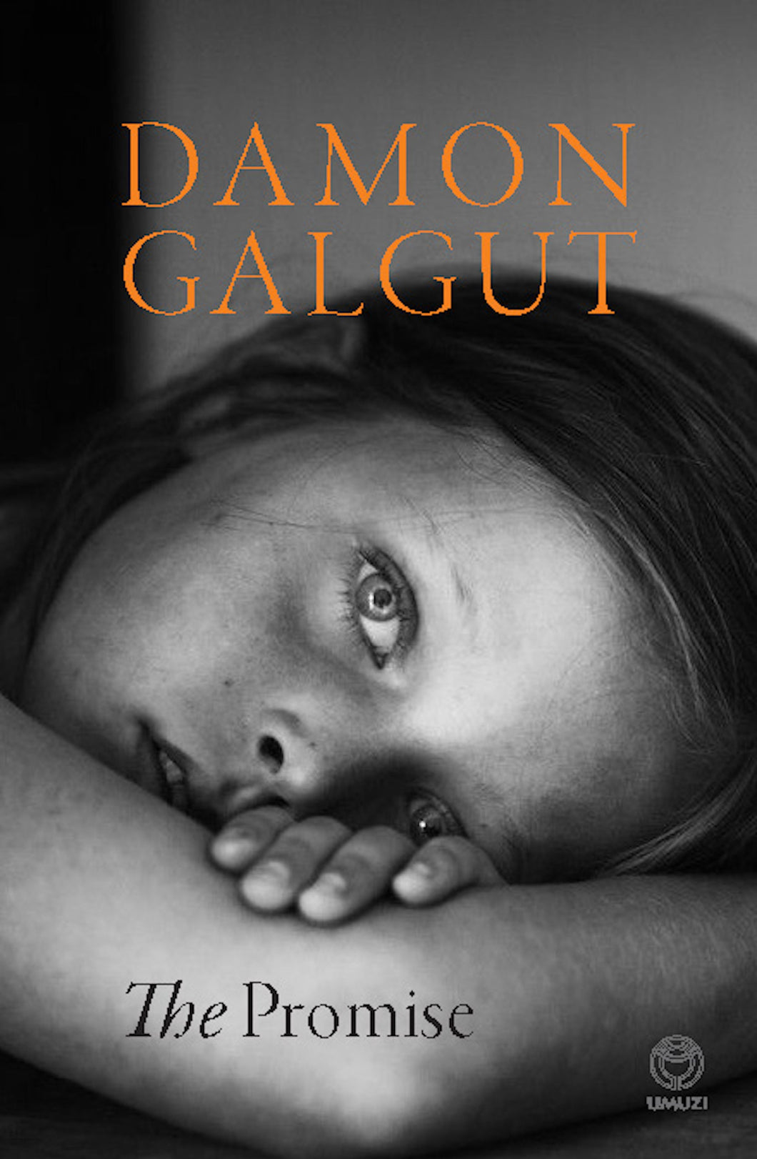 Promise The - Damon Galgut