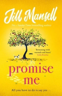 Promise Me - Jill Mansell