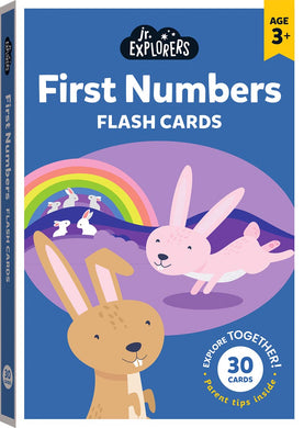 Jr Explorers: First Numbers Flash Cards - Hinkler