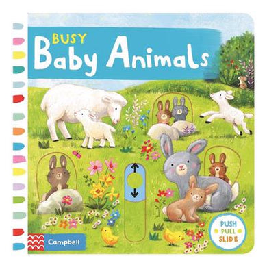 Busy Baby Animals - Campbell Books