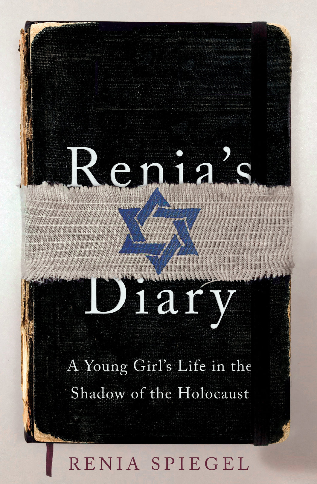 Renia's diary - Renia Spiegel