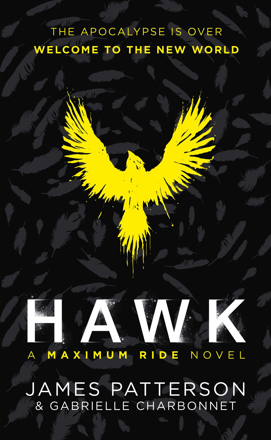 Maximum Ride 10: Hawk (Teen edition) - James Patterson