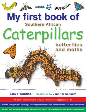 My First Book: Caterpillars and Butterfl - Steve Woodhall