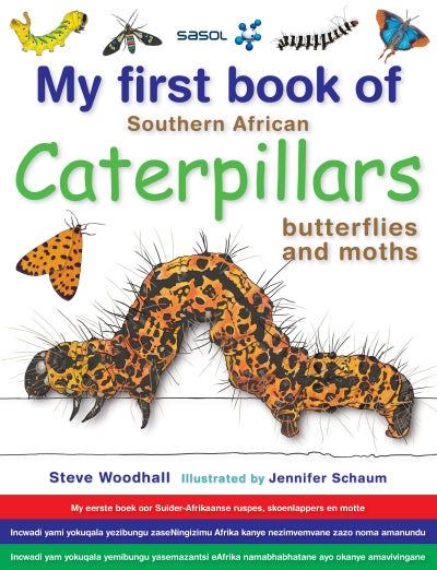 My First Book: Caterpillars and Butterfl - Steve Woodhall