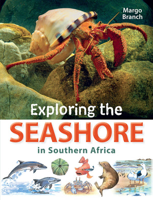 Exploring The Seashore In Southern Afric - Margo Branch
