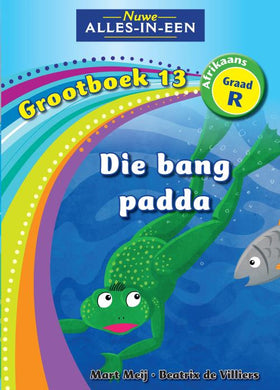 NAIE Graad R Grootboek 13 - Mart Meij