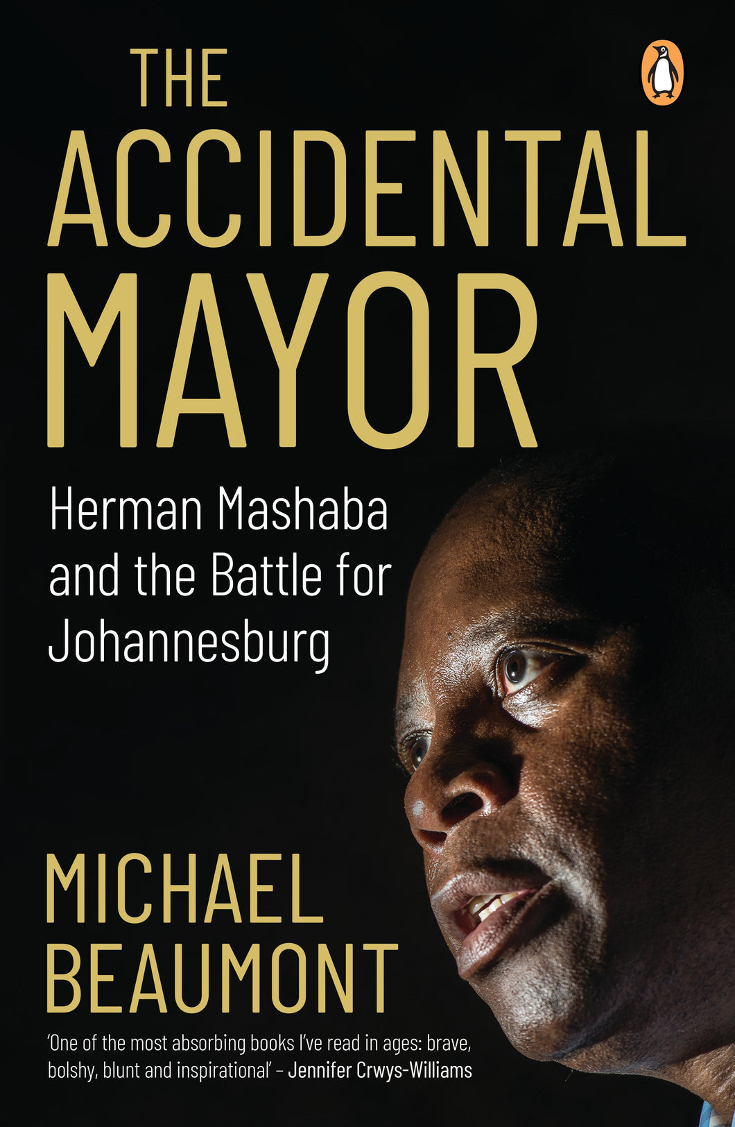 Accidental Mayor - Michael Beaumont