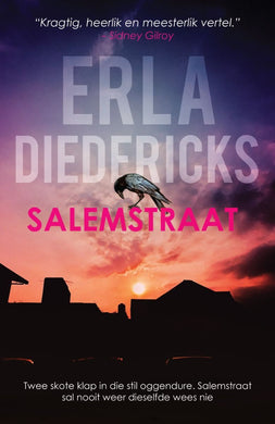 Salemstraat - Erla Diedericks