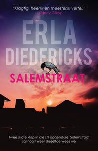 Salemstraat - Erla Diedericks