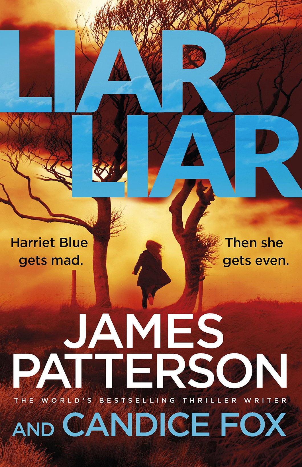 Harriet Blue 03: Liar Liar - James Patterson