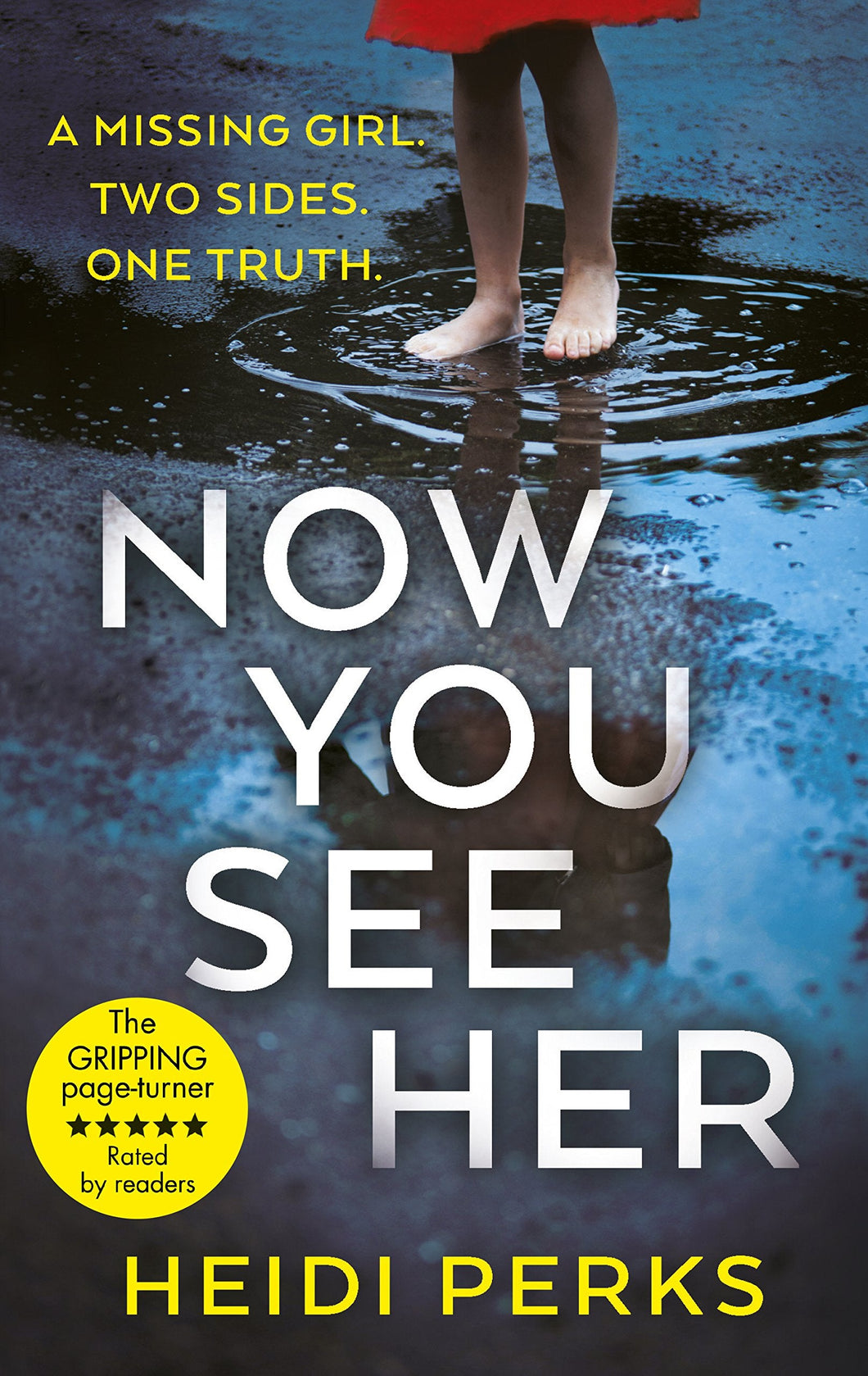 Now You See Her - Heidi Perks