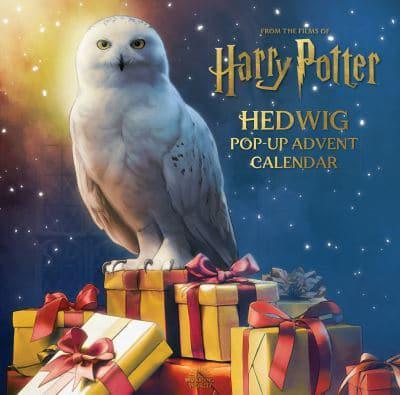 Harry Potter: Hedwig Pop-up Advent Calen - Matthew & Gira Reinhart