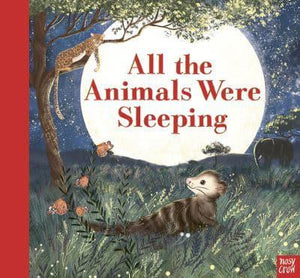 All Animals Were Sleeping - Clare Helen Welsh