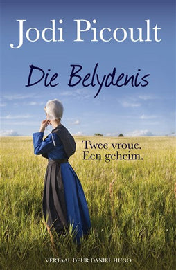Belydenis Die - Jodi Picoult