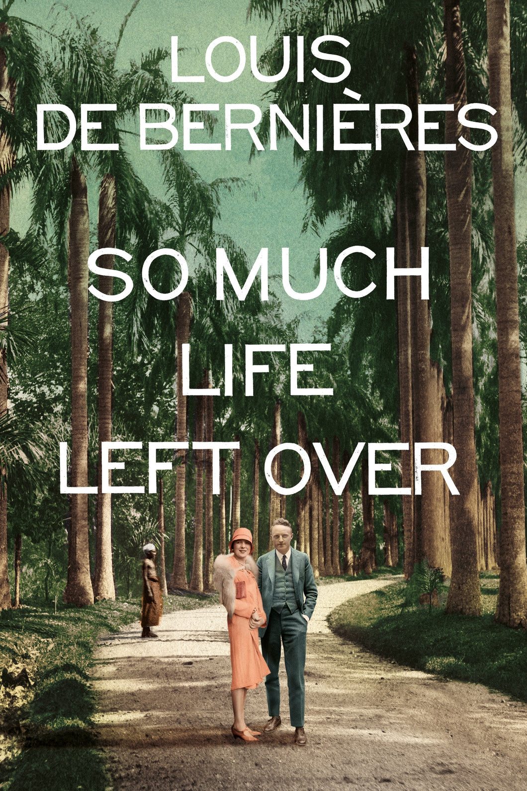 So much life left over - Louis De Bernieres
