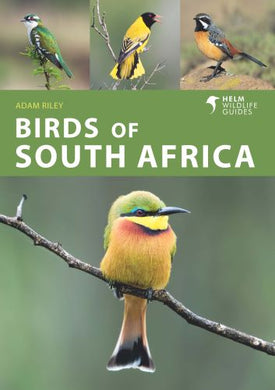 Birds Of South Africa - Adam Riley