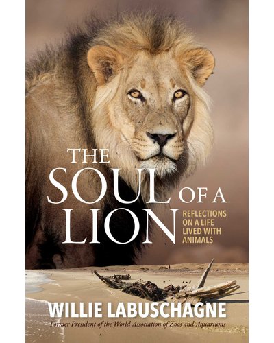 Soul Of A Lion The - Willie Labuschagne
